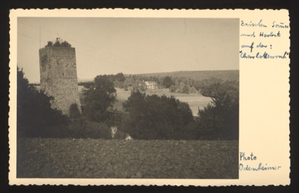 ANNOTATION ON PHOTO (front, handwritten in blue ink): German: "Zwischen Sommer und Herbst auf der: 'Charlottenruhe'" English: "Between summer and autumn at the: 'Charlottenruhe'" Additional text: "Photo Odenheimer" Description: Landscape photograph showing a stone tower ruin with countryside in the background. The Charlottenruhe appears to be a lookout point or rest stop. Photographer identified as Odenheimer.