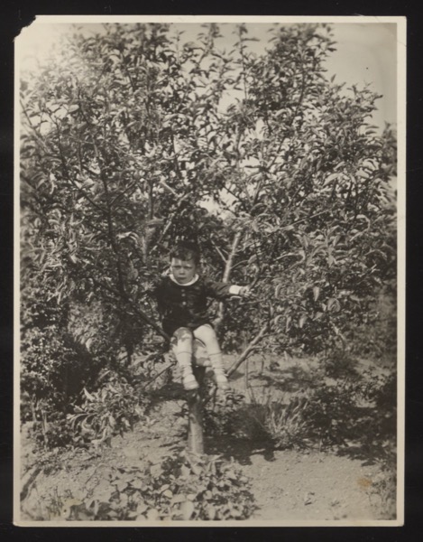 Front (0012) shows a small child climbing among bushes and trees.