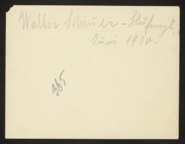 ANNOTATION ON PHOTO (back, handwritten): "Walter Shriner - Schlüngel Juni 1930." English: "Walter Shriner - Rascal June 1930." Number: 365 Note: "Schlüngel" (or "Schlingel") means "rascal" or "little scamp" — an affectionate nickname. The front shows a small boy climbing in bushes/trees. This is the same child as in photo 0014/0015 (Walter). Description: Front (0012) shows a small child climbing among bushes and trees.