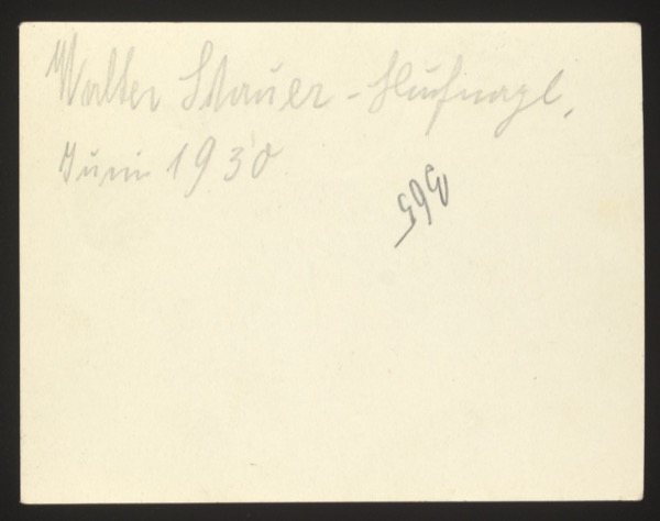 ANNOTATION ON PHOTO (back, handwritten): "Walter Shriner - Schlüngel. Juni 1930." English: "Walter Shriner - Rascal. June 1930." Number: 990 Description: Front (0014) shows a small boy standing in a garden path with flowers and a greenhouse in the background. Same child as photo 0012/0013 (Walter), June 1930.