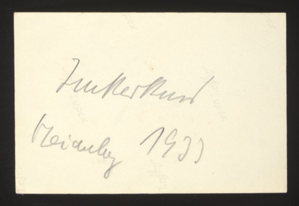ANNOTATION ON PHOTO (back, handwritten on Agfa Lupex paper): Text (partially legible): "Truttertuml [?] Noirsley [?] 1931" Note: The handwriting is faint and difficult to read. Appears to include a name and location with date 1931.